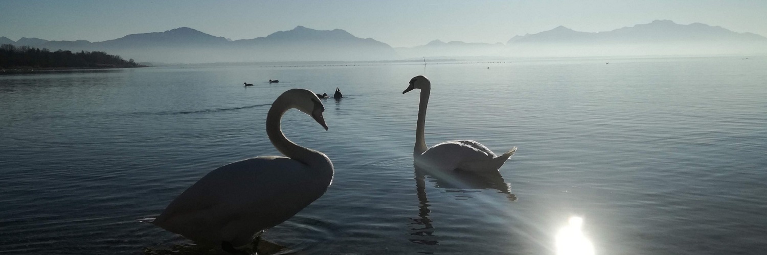 Anbieter und Angebote aus dem Regierungsbezirk Oberbayern nach Branchen